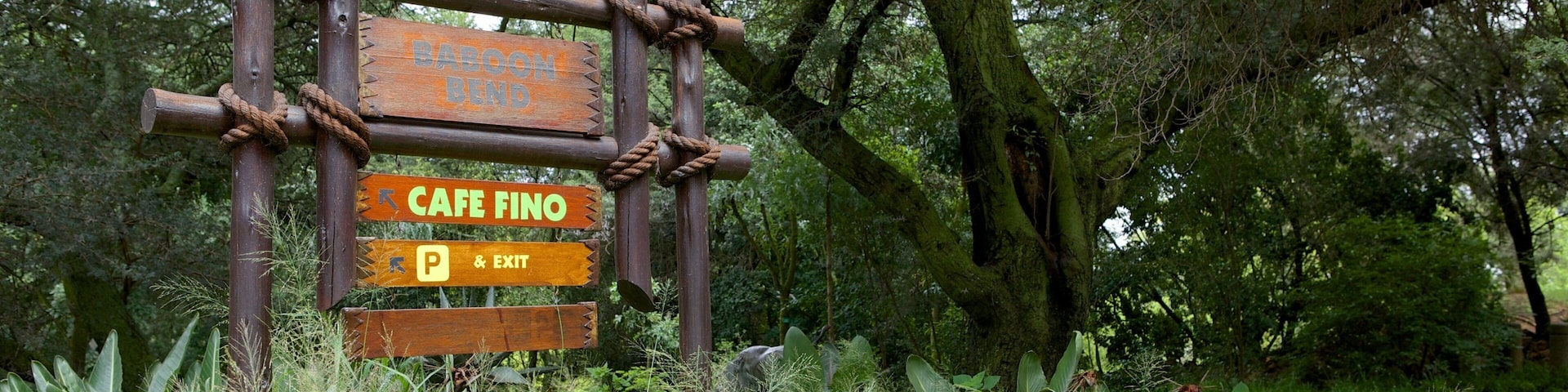 约翰内斯堡动物园