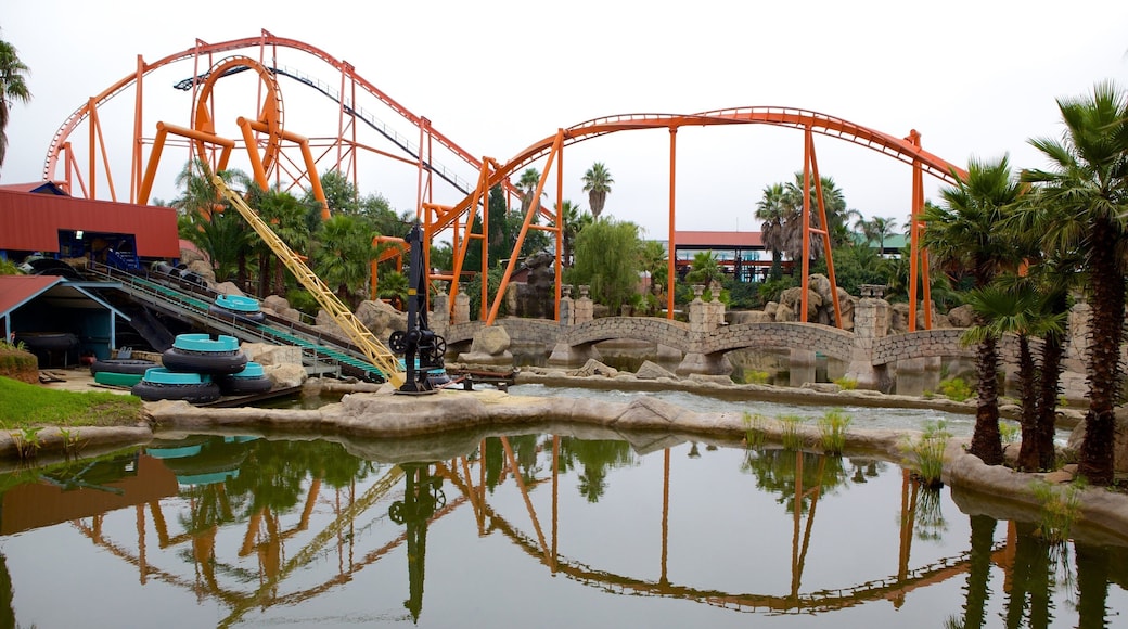 Gold Reef City featuring a pond, rides and a waterpark