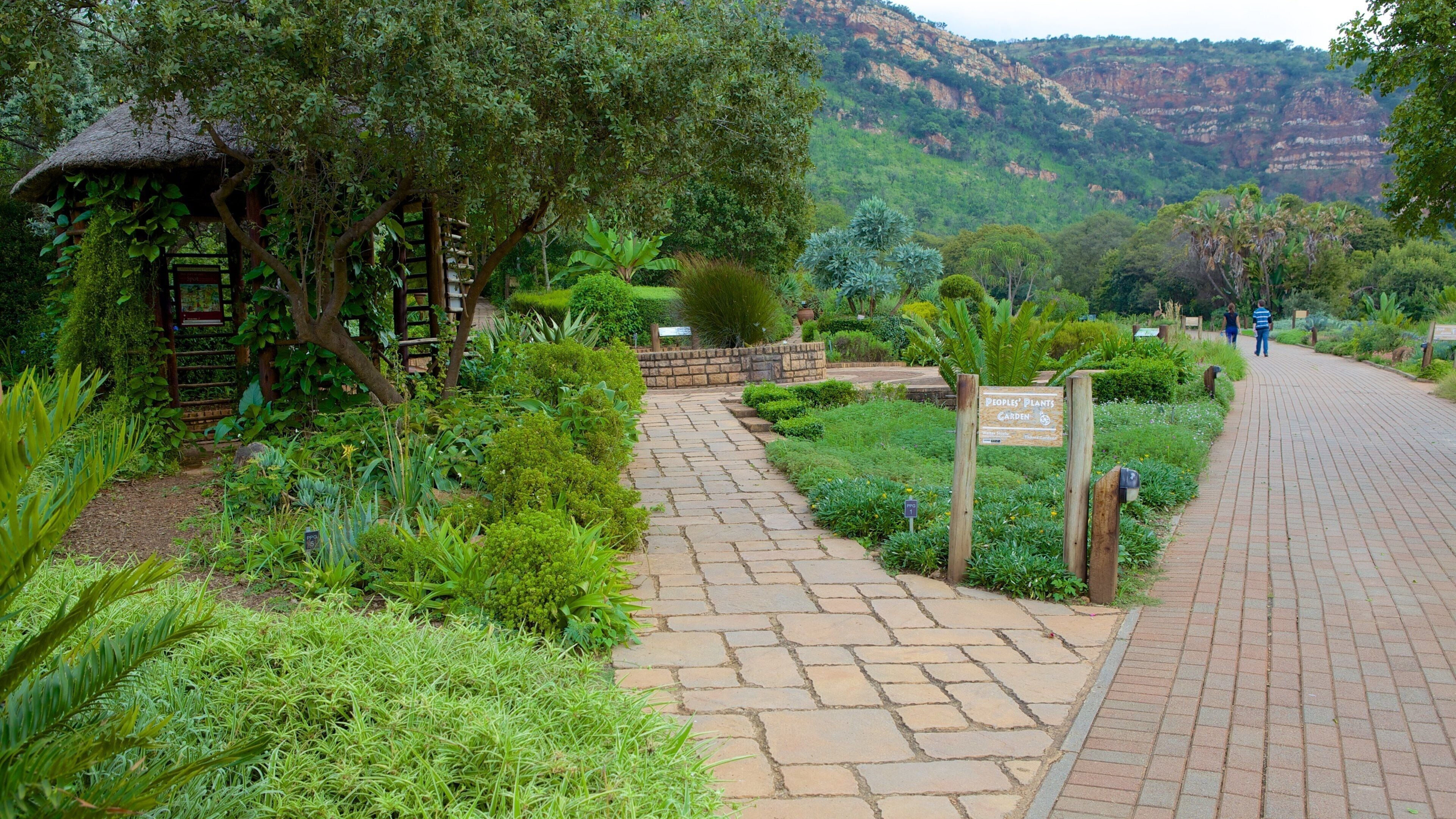 Un sendero de jardín con una estructura de techo de paja, abundante vegetación y un paisaje montañoso al fondo.