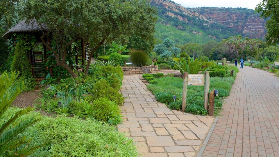 Un sentier de jardin bordé d’une structure au toit de chaume, d’une végétation luxuriante et avec une chaîne de montagnes en arrière-plan.