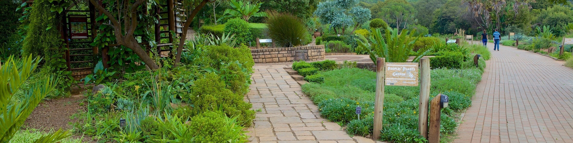 Un sendero de jardín con una estructura de techo de paja, abundante vegetación y un paisaje montañoso al fondo.