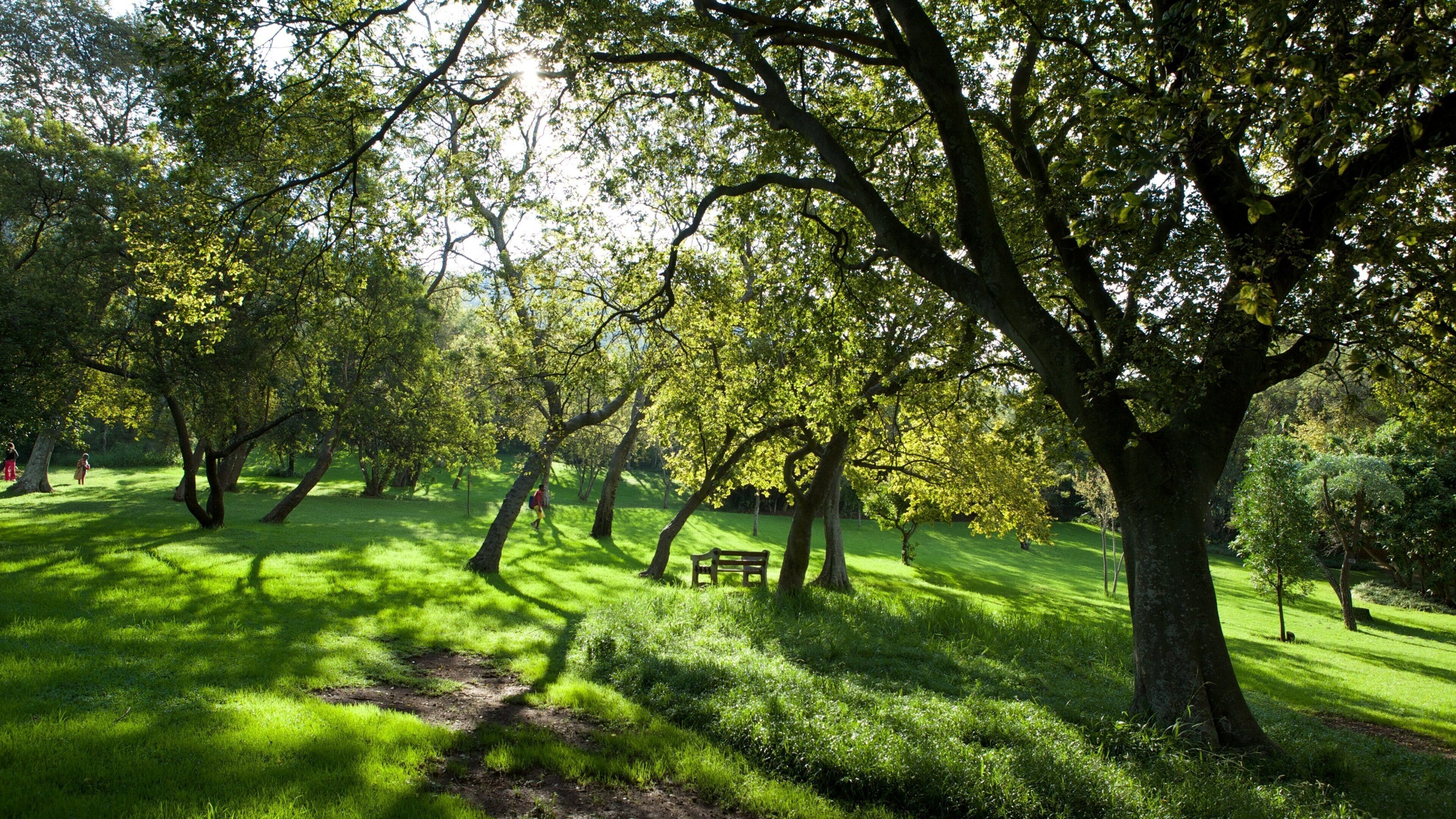Walter Sisulu Botanical Gardens que incluye un parque y vista panorámica