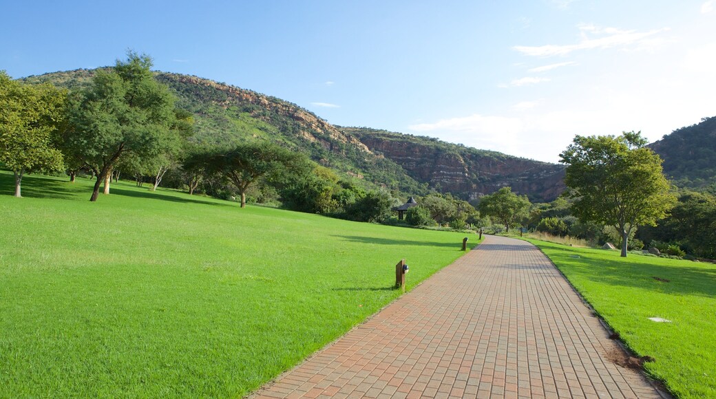 Walter Sisulu National Botanical Garden which includes a park
