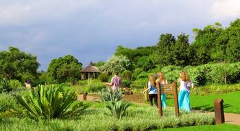 Walter Sisulu Botanical Gardens que incluye un jardín y también un grupo pequeño de personas