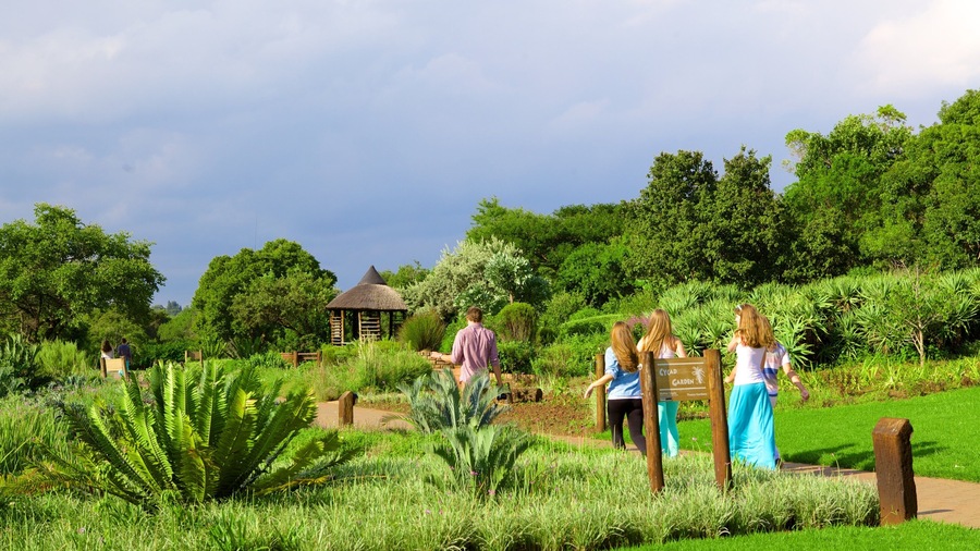Walter Sisulu Botanical Gardens featuring a park as well as a small group of people