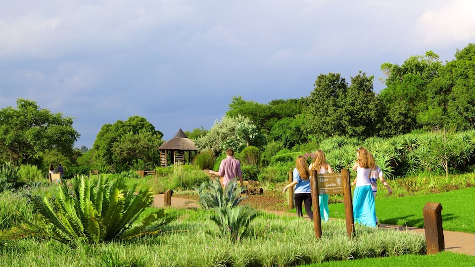 Un jardin agrémenté d’une structure à toit de chaume, d’une végétation luxuriante et d’un panneau indiquant : « Jardin des cycas ».