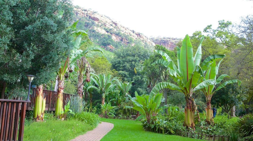 Botanische tuinen Walter Sisulu toont een tuin