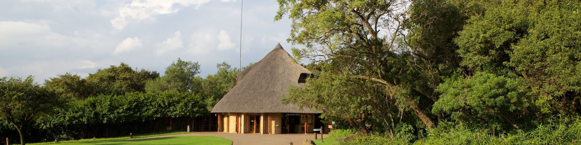 ์ํฐ ์์ ๋ฃจ ์๋ฌผ์ ์ ํน์ง ์ ์