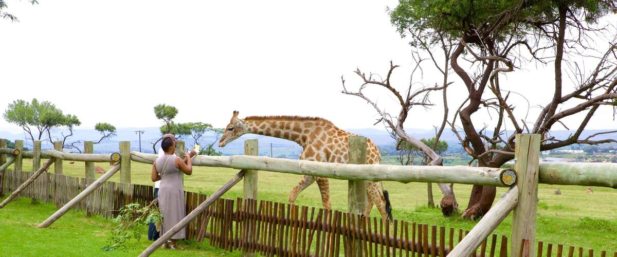 Lion Park johon kuuluu eläintarhan eläimet, maaeläimet ja rauhalliset maisemat
