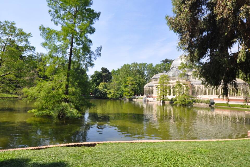 Ein großer Teich, umgeben von Bäumen und einem Gewächshaus.