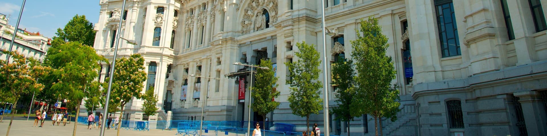 City Hall showing an administrative buidling and heritage architecture