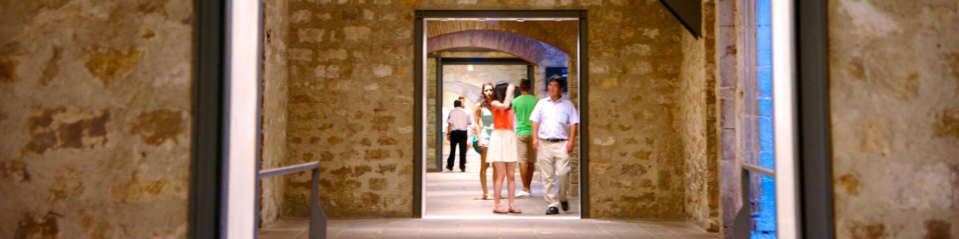 Picasso Museum which includes interior views