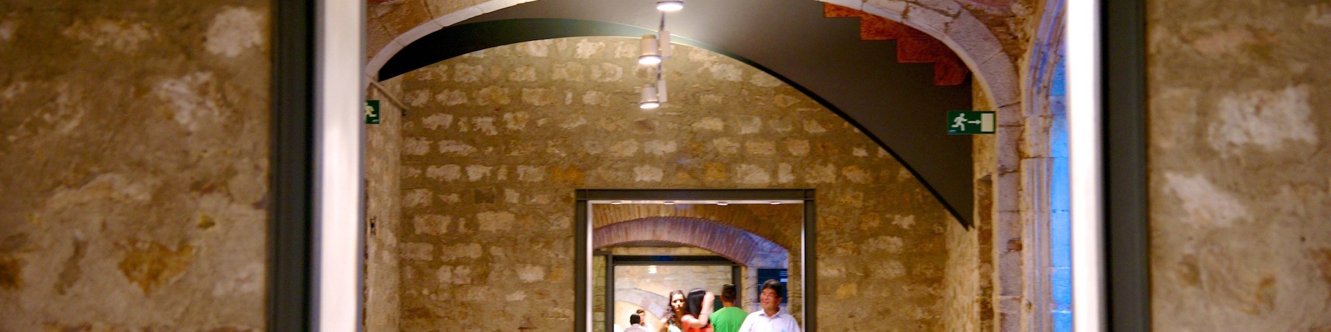 Picasso Museum which includes interior views