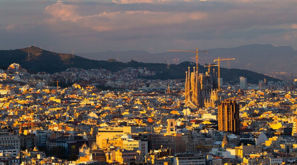 Sagrada Familia featuring a sunset, landscape views and a city