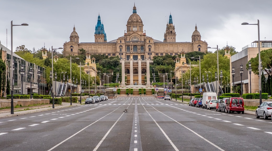 Mnac palace museum of contemporary art in Montjuic in the city of Barcelona