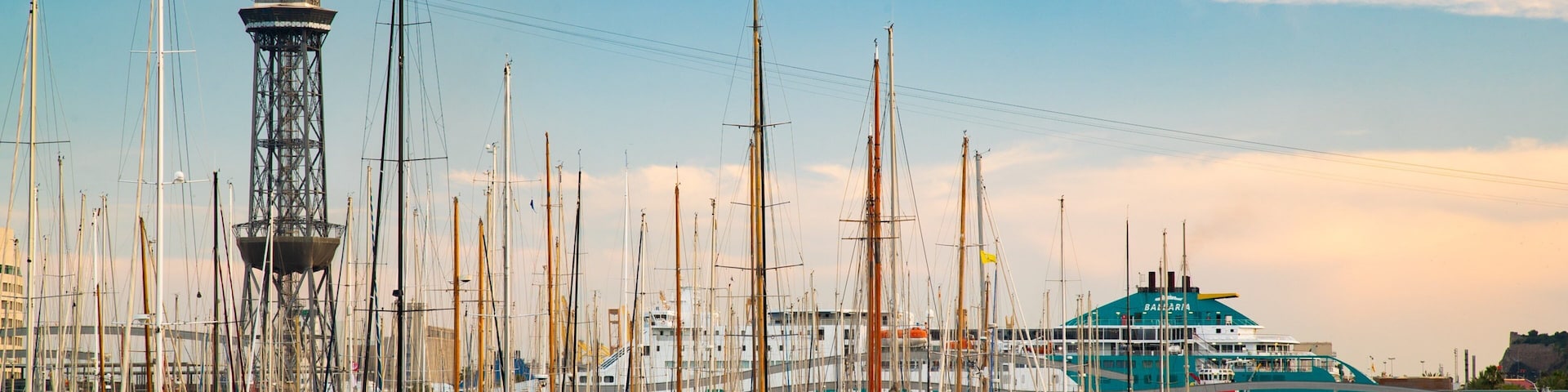 Port Vell showing a sunset and a bay or harbor