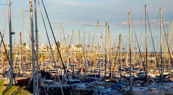 La Vila Olimpica del Poblenou