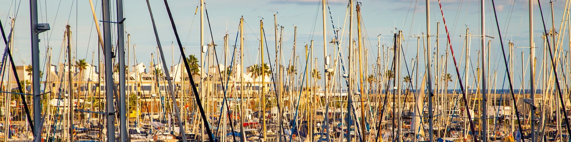 Port Olimpic featuring a bay or harbor