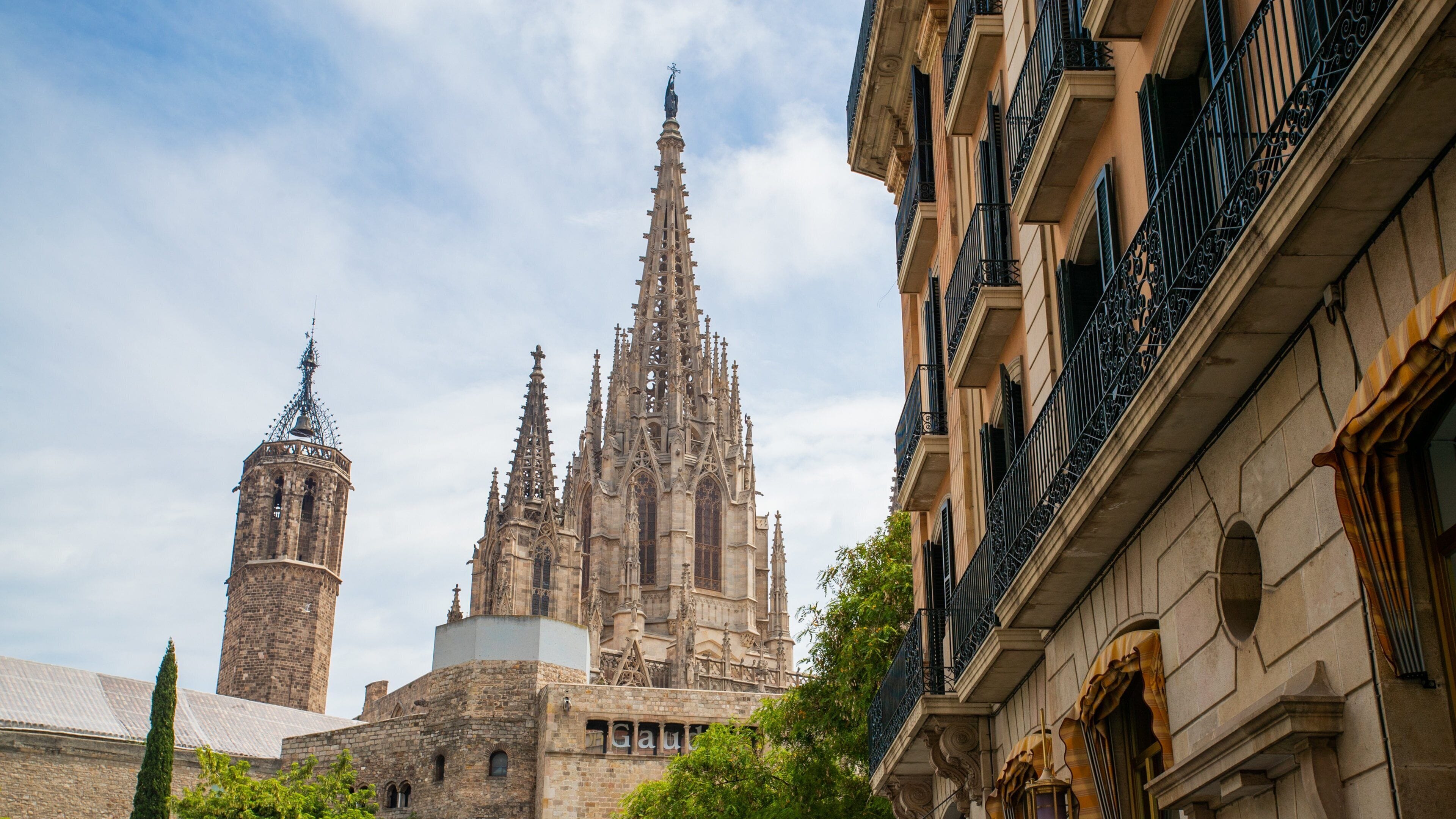 A historic cathedral with intricate Gothic architecture, a prominent tower, and adjacent classical buildings.