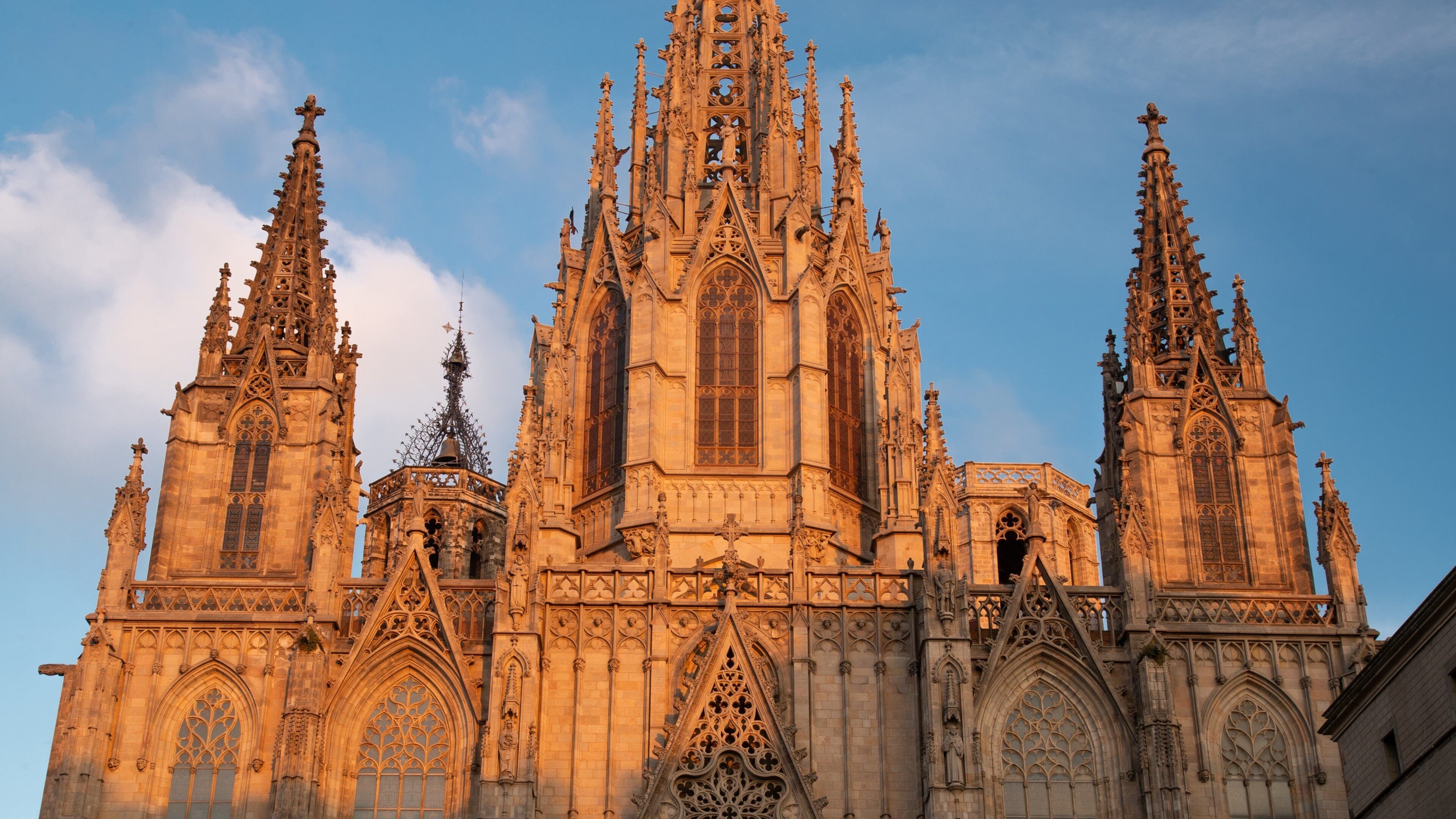 Barcelona Cathedral showing a sunset and heritage architecture
