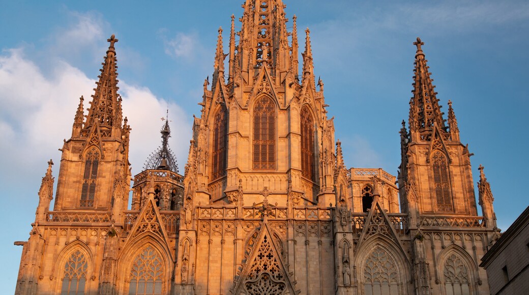 Barcelona Cathedral showing a sunset and heritage architecture