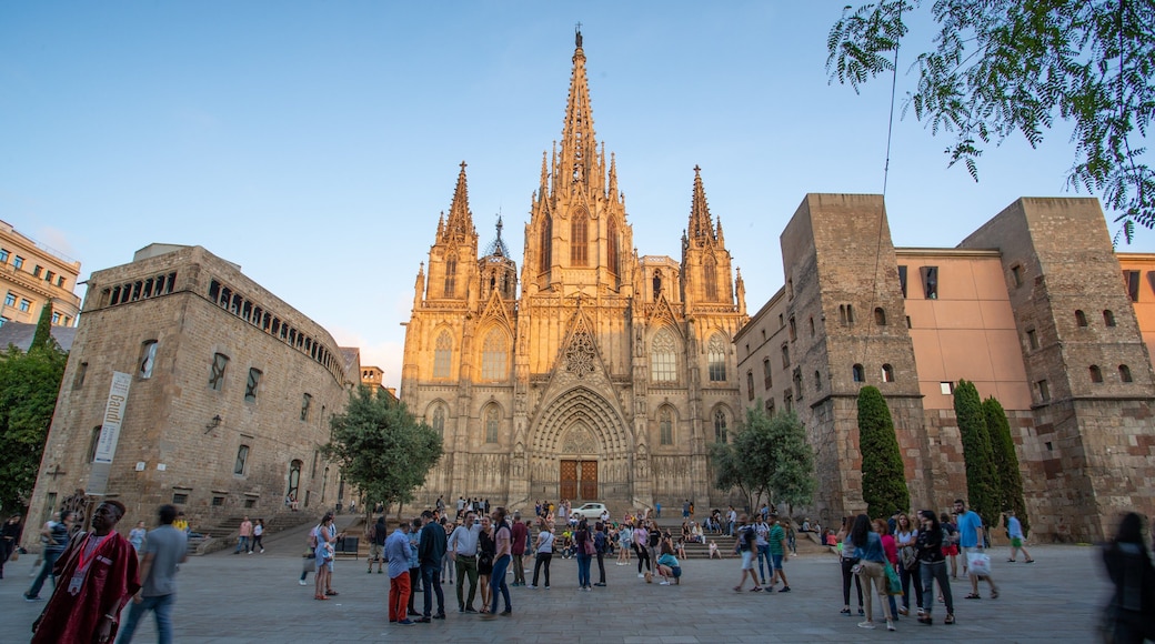 Barcelona Cathedral featuring heritage architecture, a city and a square or plaza