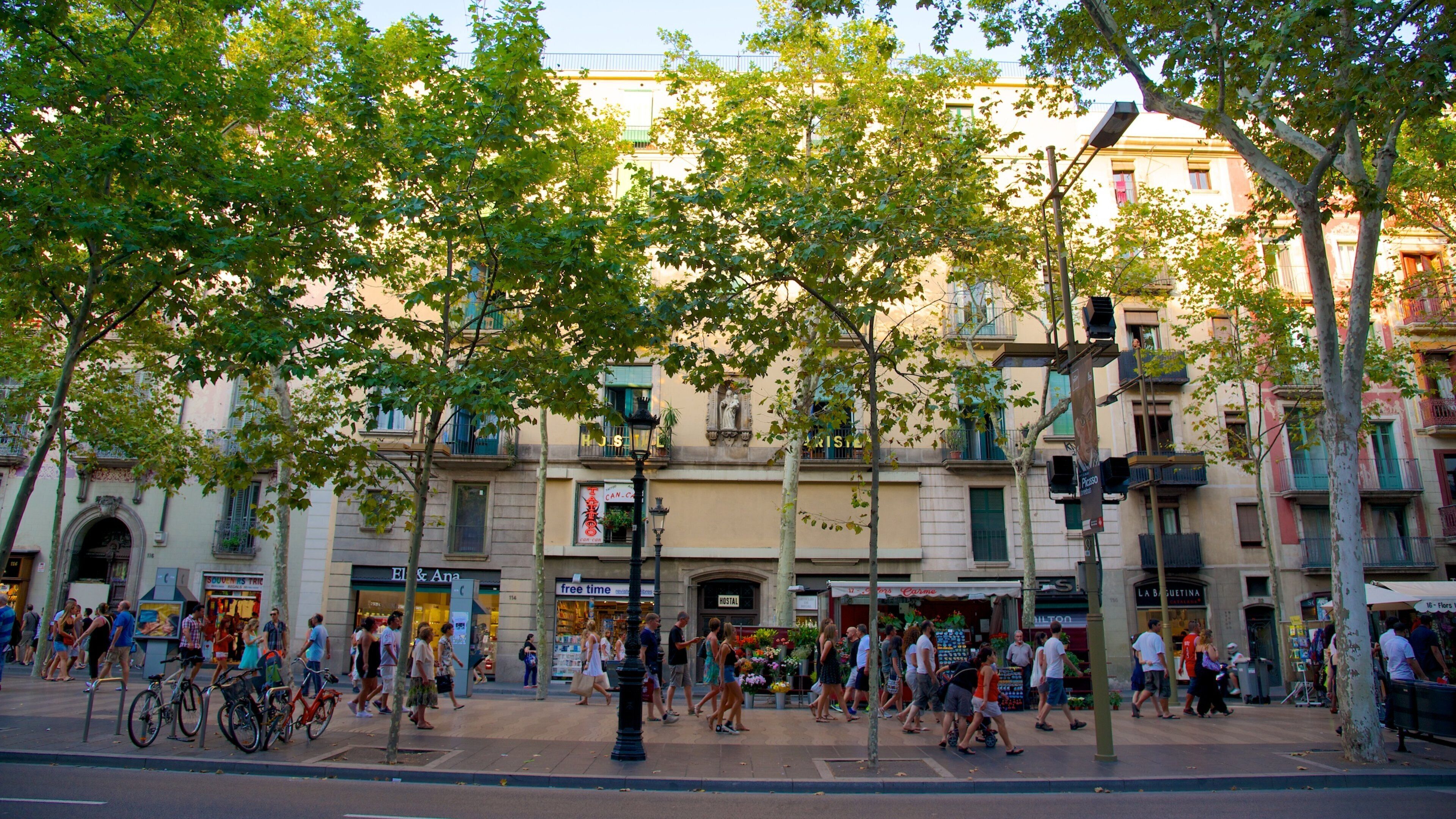La Rambla showing street scenes and a city as well as a large group of people