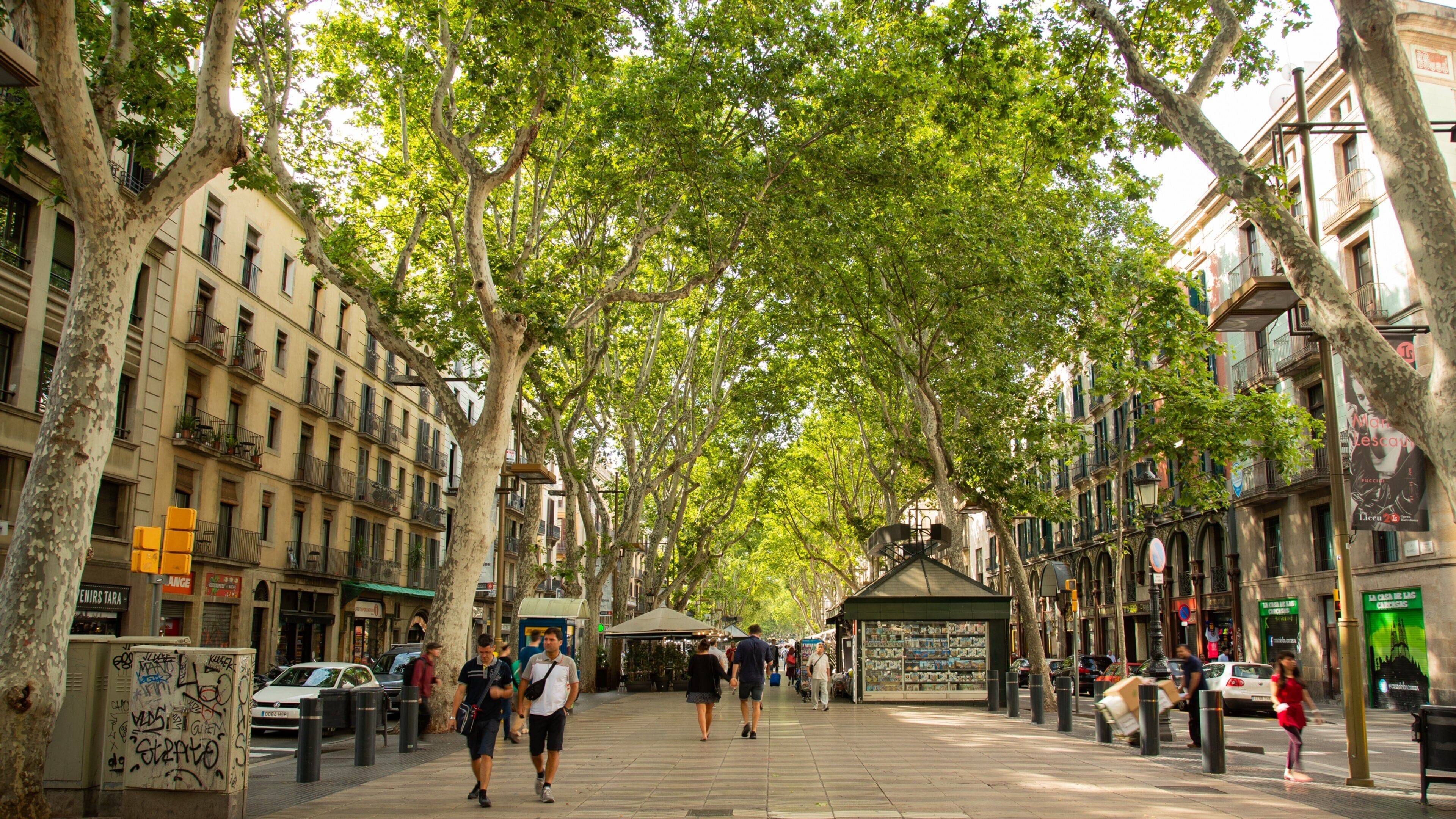 A tree-lined street with pedestrians, buildings, and a kiosk.