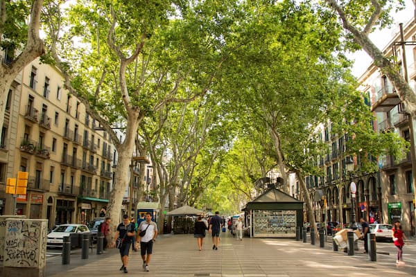 Une rue bordée d’arbres, avec des piétons, des bâtiments et un kiosque.