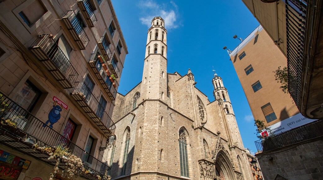 Basilica de Santa Maria del Mar showing a church or cathedral and heritage architecture
