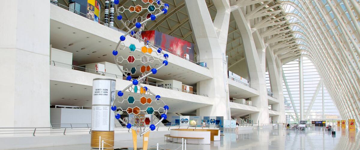 Ciudad de las Artes y de las Ciencias inclusief kunst, interieur en moderne architectuur