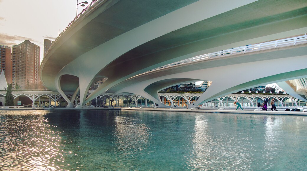 Dronning Sofia kunstpalass