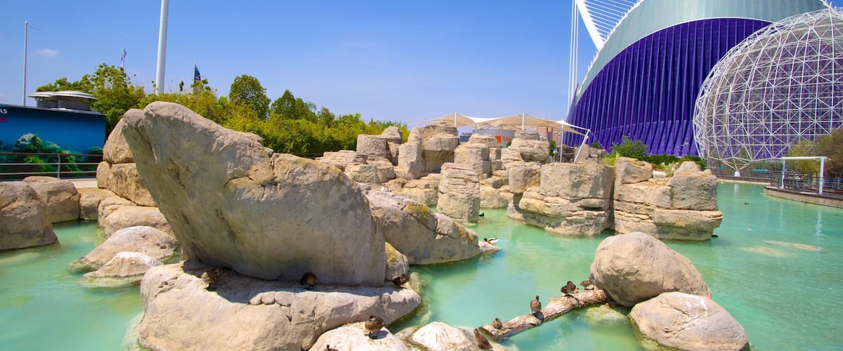 City of Arts and Sciences showing a pond and modern architecture