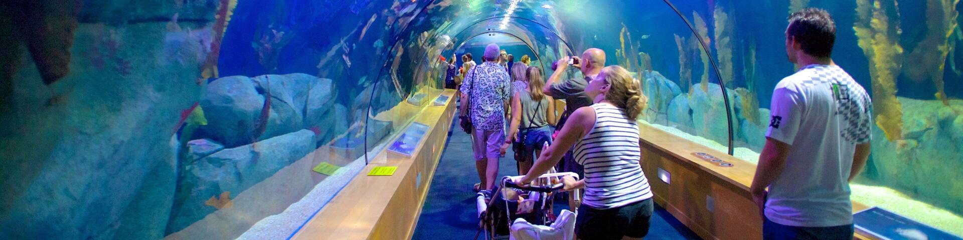 City of Arts and Sciences which includes interior views and marine life as well as a large group of people