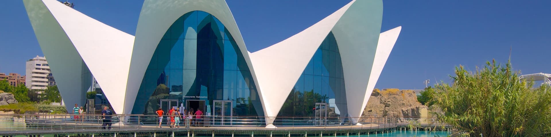 City of Arts and Sciences which includes a city and modern architecture