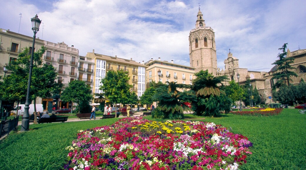 Plaza de la Reina showing a church or cathedral, flowers and a city