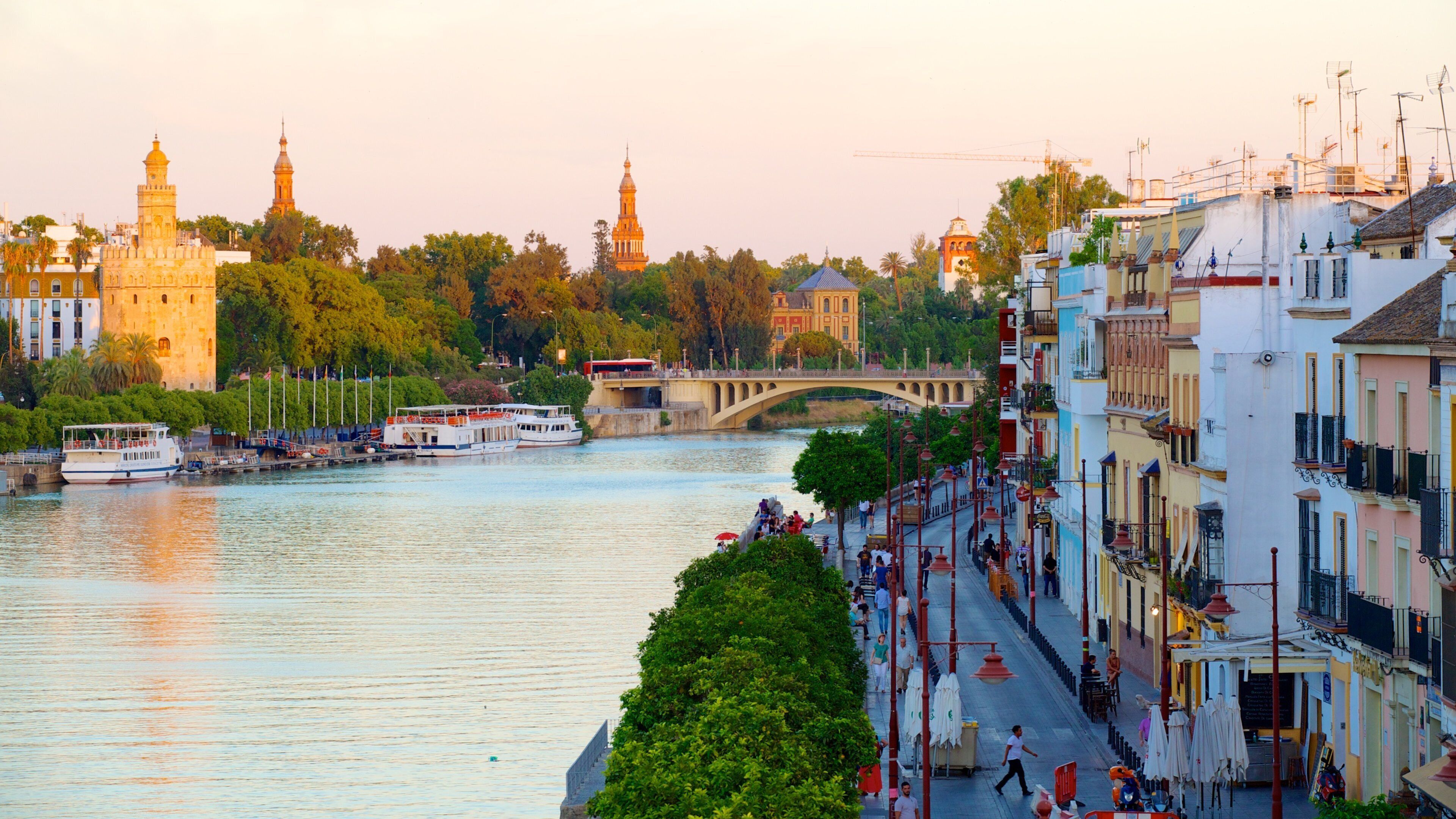 Triana Bridge showing a city, a bay or harbor and street scenes