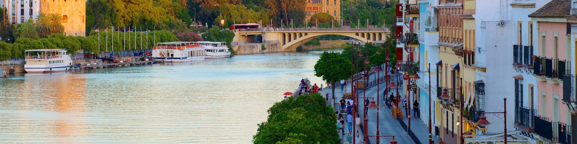 Triana Bridge showing a city, a bay or harbor and street scenes