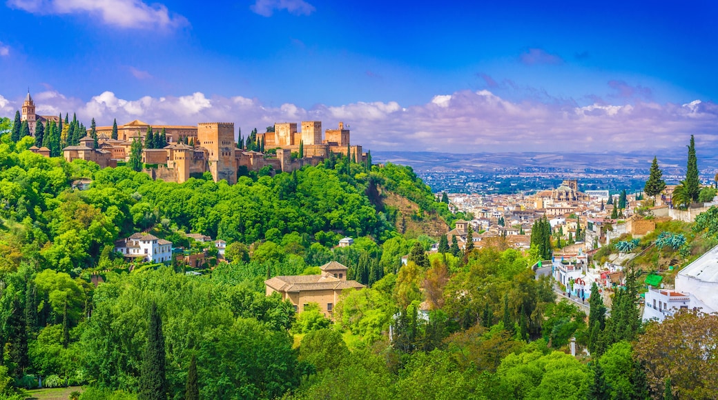 Vega de Granada