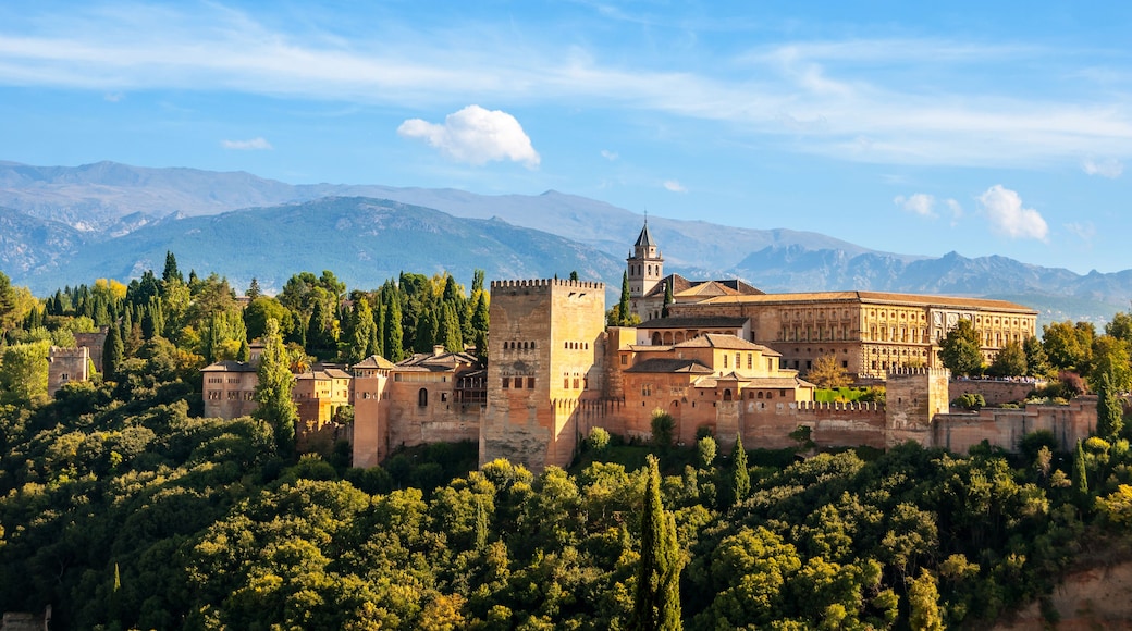 Vega de Granada