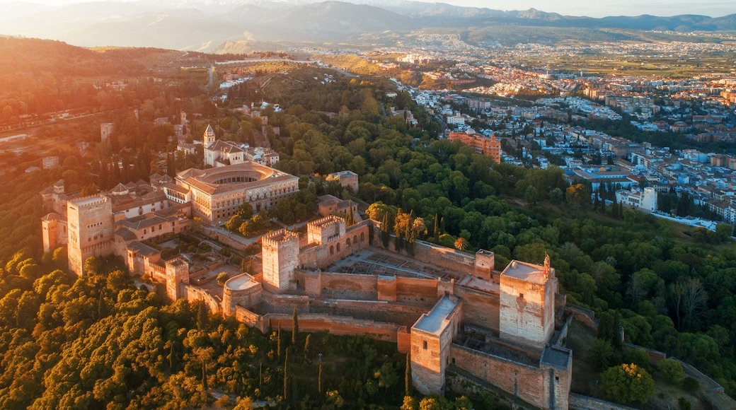 Vega de Granada
