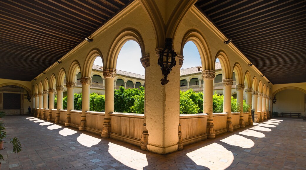 San Jeronimo Monastery showing heritage elements