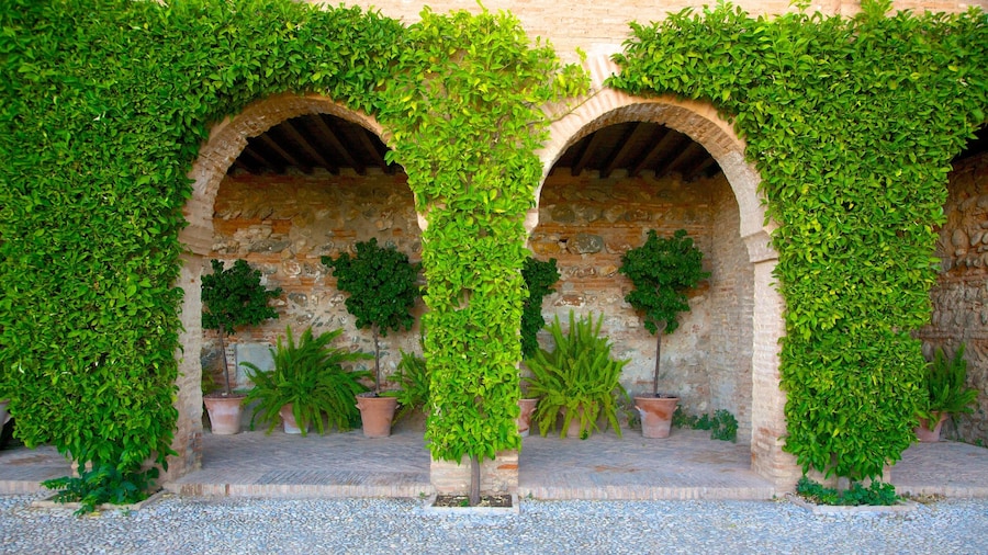 Generalife showing château or palace