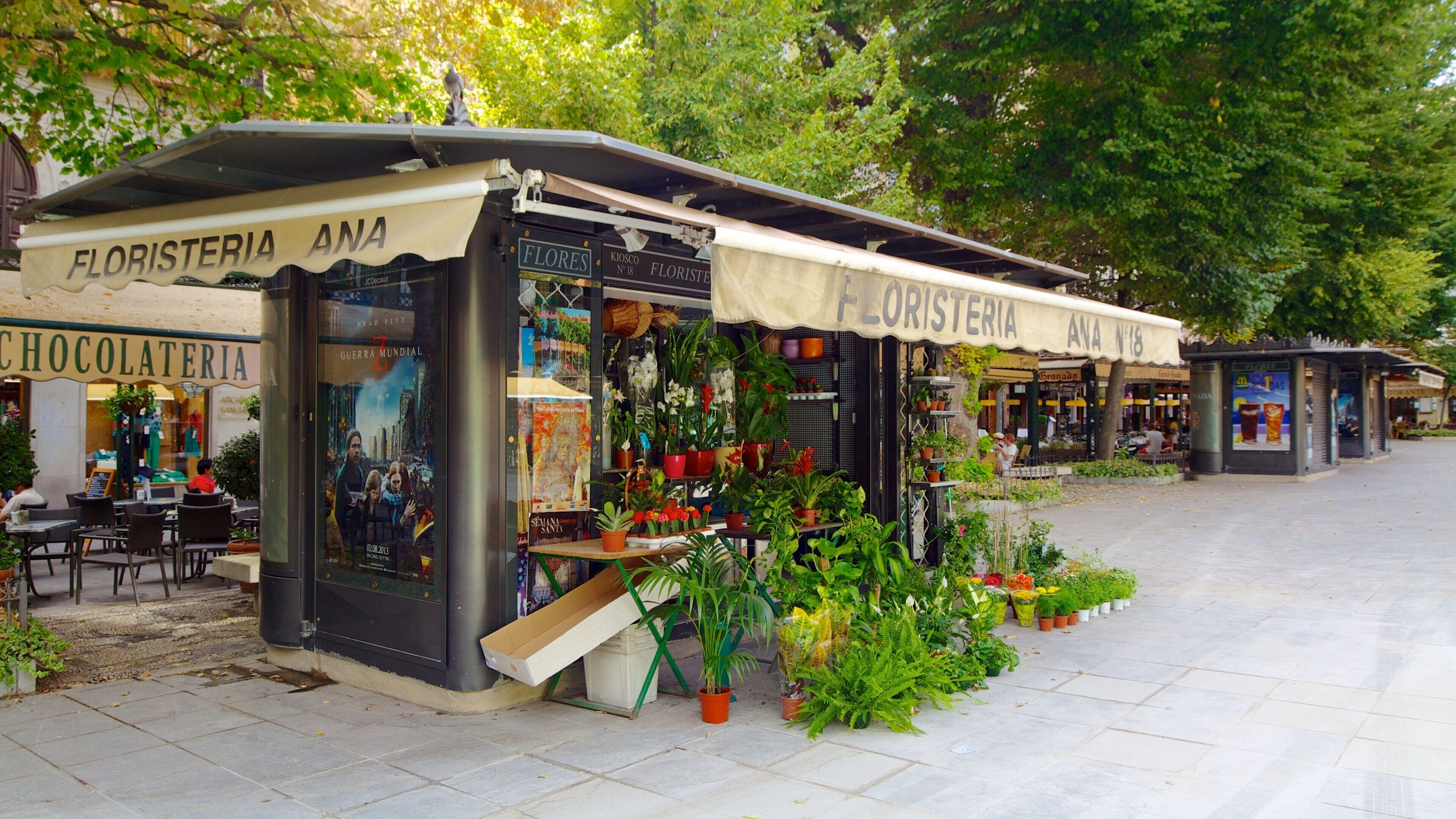 Plaza Bib-Rambla featuring flowers and markets