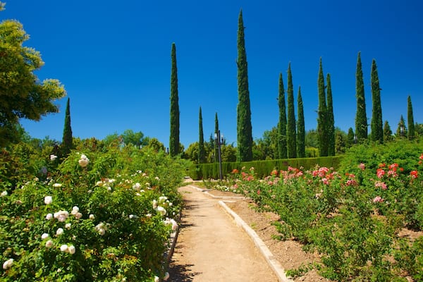 Parque Garcia Lorca welches beinhaltet Blumen und Park