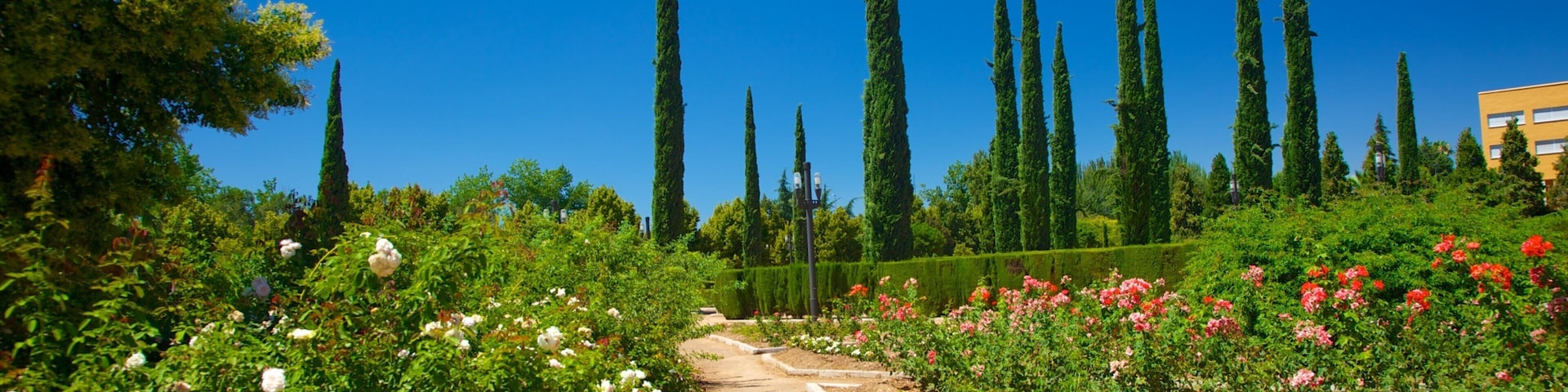 Parque Garcia Lorca que inclui um parque e flores