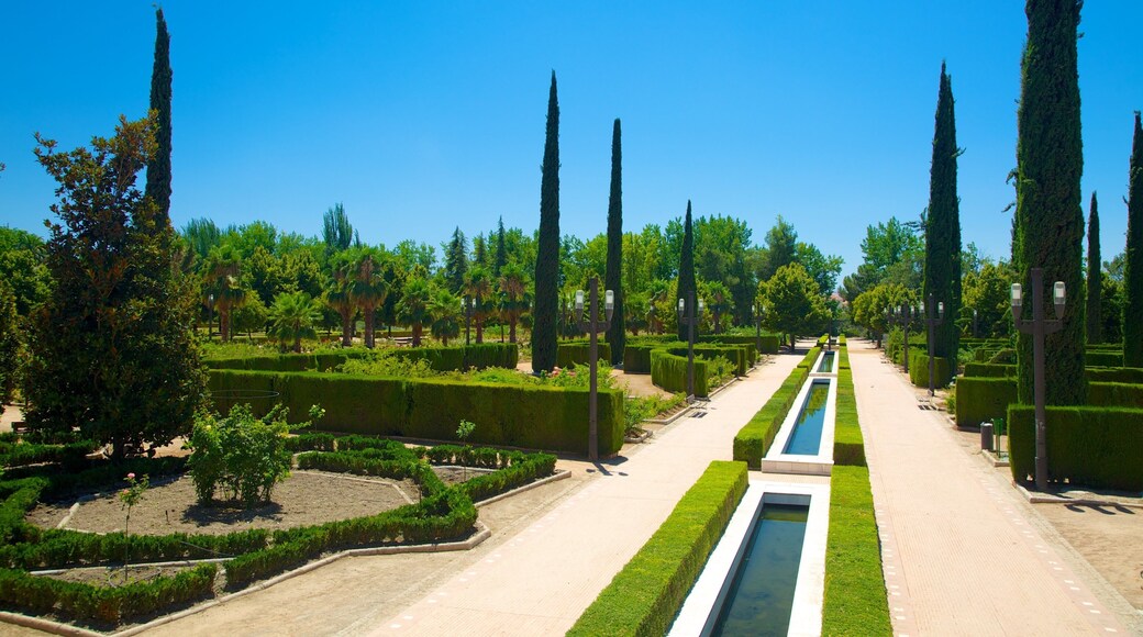 Parque Garcia Lorca featuring a park and a pond