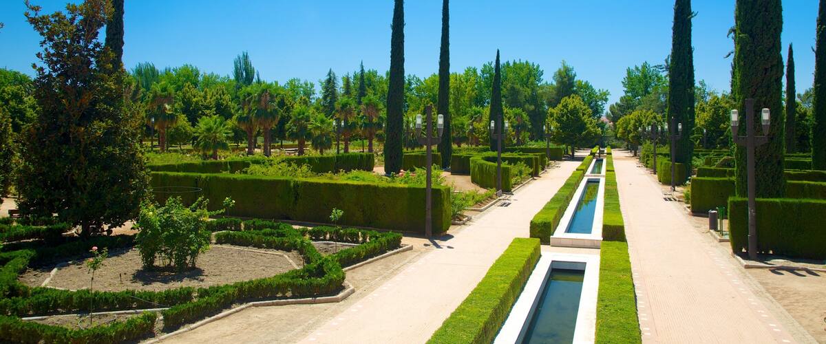 Parque Garcia Lorca featuring a park and a pond