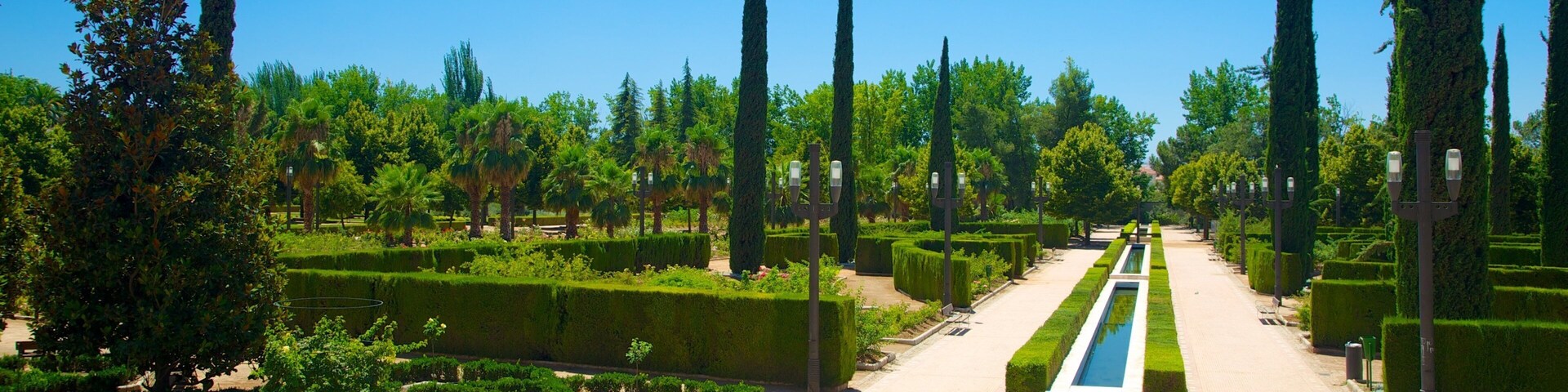 Parque Garcia Lorca featuring a park and a pond