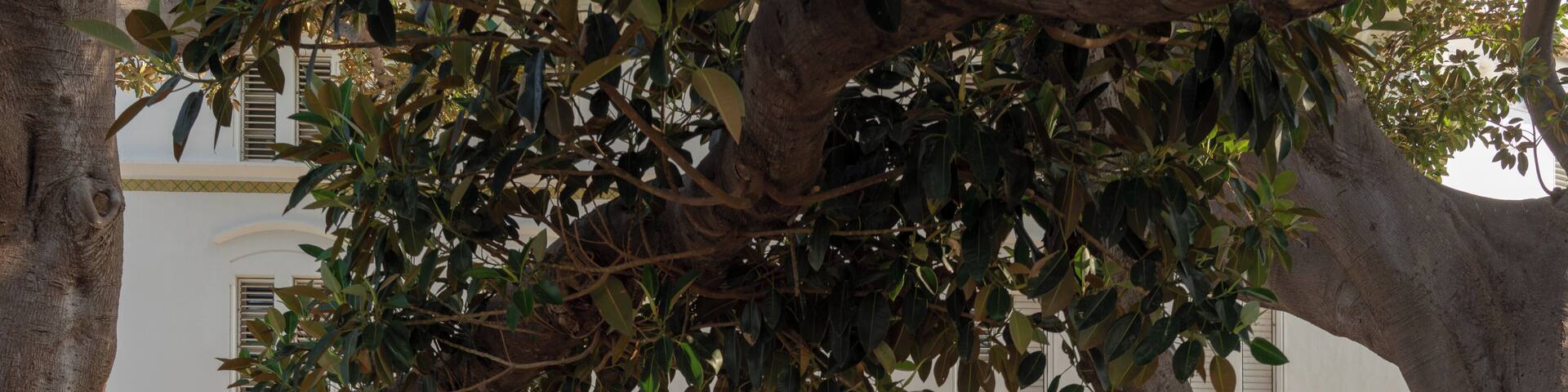 Cadiz_UniversityofCadiz_6067159_09